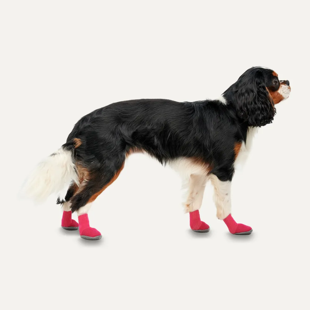 Gooeez Regular Dog Boots (2-pack) 2XS Red/Black