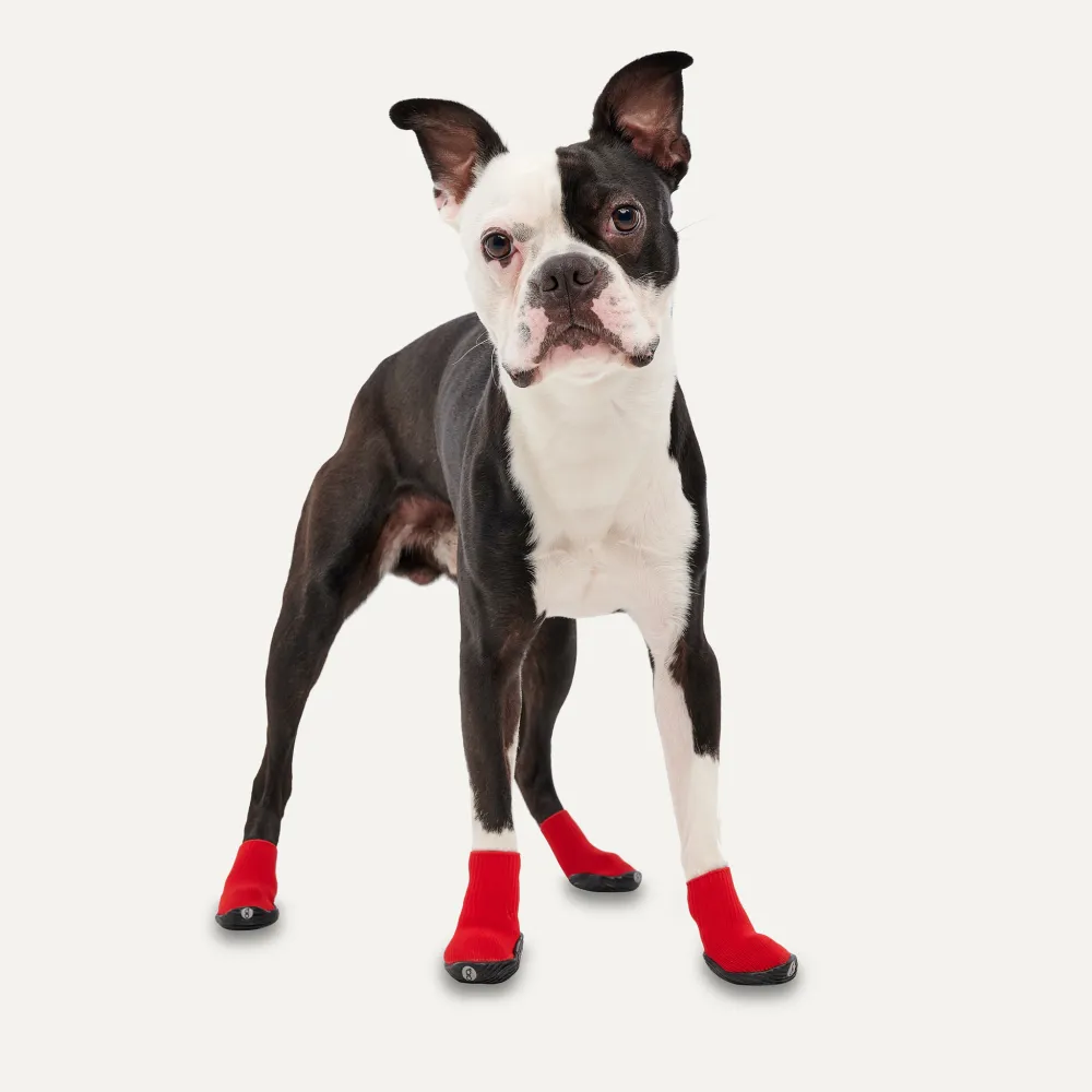 Gooeez Regular Dog Boots (2-pack) 2XS Red/Black