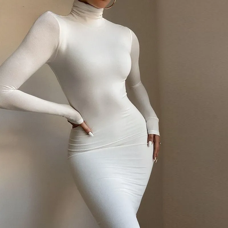 Nadafair Turtleneck Long Sexy Bodycon Dress With Long Sleeves