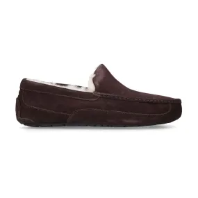 UGG Ascot Slippers - BROWN