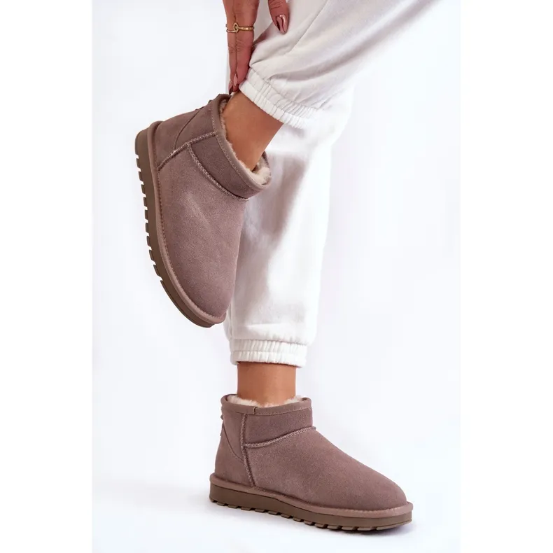 Women's Suede Low Snow Boots Gray Shelie beige